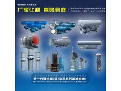 水庫提水大口徑潛水軸流泵