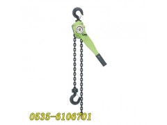 HSH-SLD19手板葫蘆廠家批發(fā),建筑工程用手板葫蘆