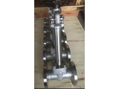 低溫閥門 不銹鋼低溫止回閥 庫存充足